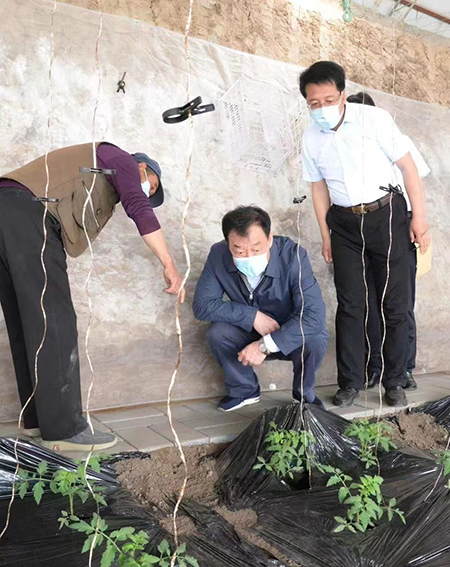 刘奇到察右前旗调研定点帮扶工作