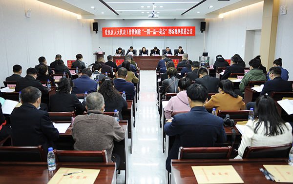 爱民区人大：&ldquo;一团一品一亮点&rdquo; 代表履职上台阶