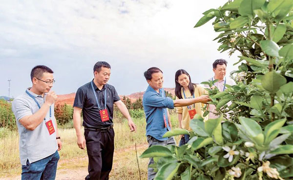 发展全过程人民民主　保障人民当家作主