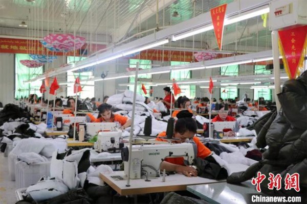 新疆：人大代表带头探索蹚出产业增收路