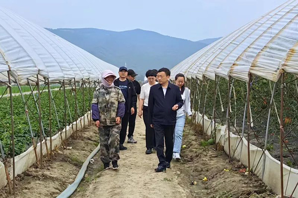 林口县古城镇人大：推动代表家(站)&ldquo;三化&rdquo;建设 打通服务群众&ldquo;最后一公里&rdquo;