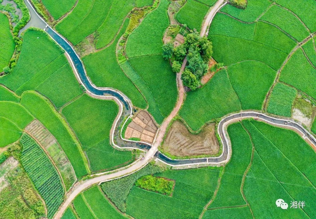 湖南出台这份决定，解决田间地头 &ldquo;中梗阻&rdquo;