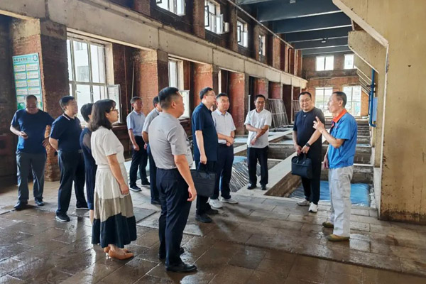 全国人大代表黑龙江代表团第二代表小组到齐齐哈尔市开展专题调研