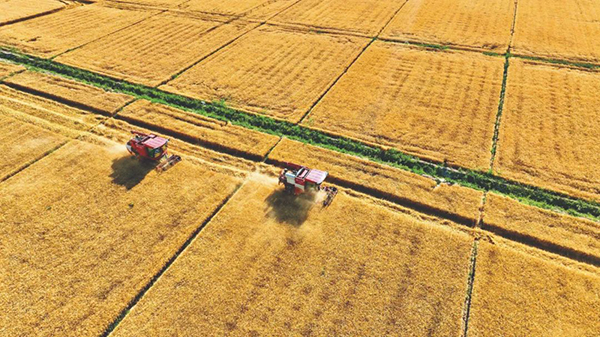 筑牢粮食安全法治基石