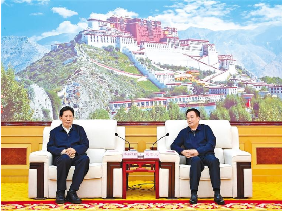 王君正与洛桑江村一行座谈