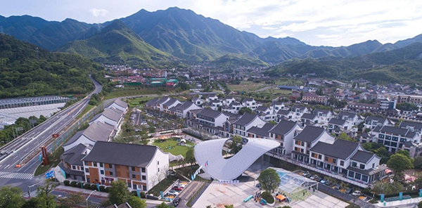  人大代表视角：正在蝶变的大余村