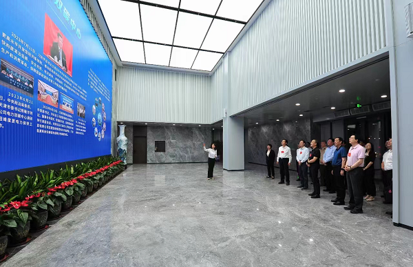  在津全国人大代表专题调研电力双碳中心