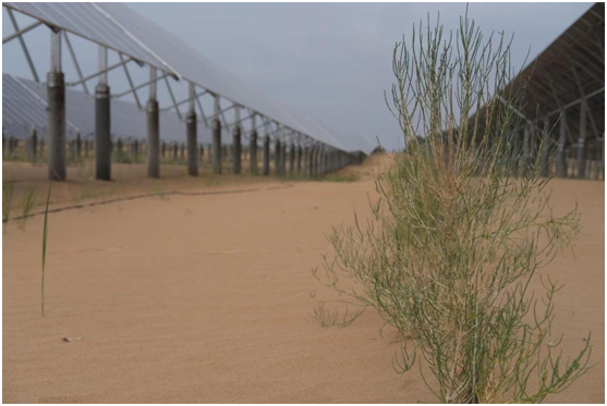  全面推进美丽中国建设