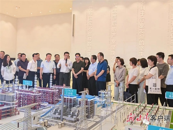  积极履职深度参与 助力项目建设按下“快进键”